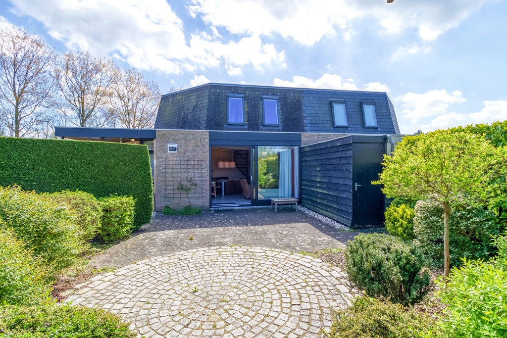 Liguster 77 Nieuwvliet-2.jpg